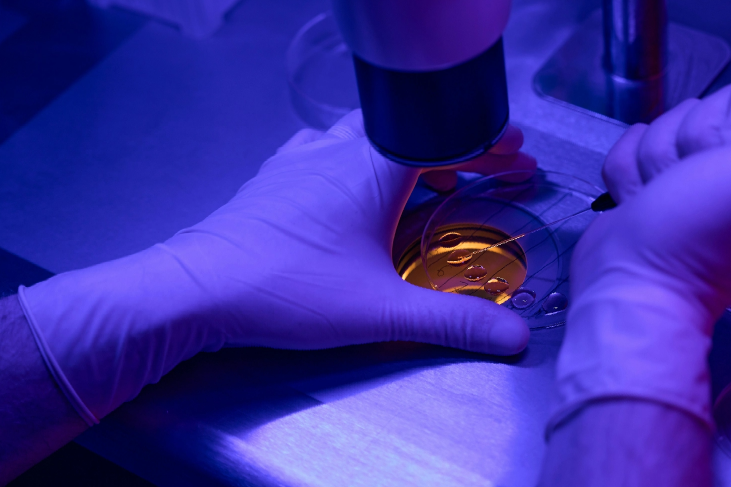 Gloved hands working with a petri dish under a microscope in blue light