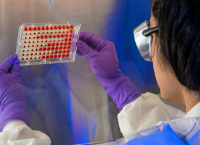 Technician looking at results